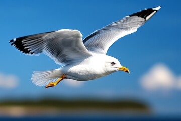 Obraz premium Bird flying against the wind, determined and strong as it pushes forward through the resistance, undeterred by the challenge of the elements