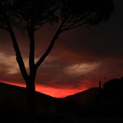 atardecer