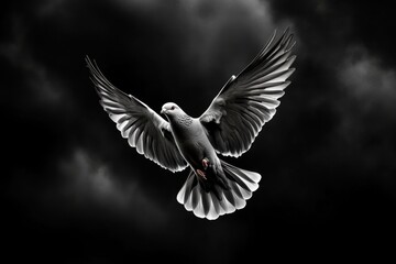 Obraz premium Bird swooping between the clouds, hidden and revealed by mist as it plays with the invisible winds, dancing in and out of view