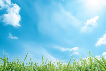 Fototapeta premium Bright sunny day with lush grass and scattered clouds