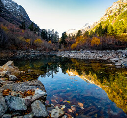 Autumn view of a lake in the mountains. Fallen leaves in the water