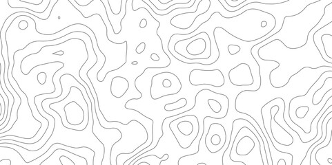 Topographic map and landscape terrain texture grid. Abstract white topography vector background