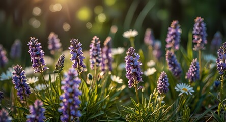 Fototapeta premium spring morning on nature and fluttering butterfly on soft green background, macro. Spring template, elegant amazing artistic image, free space. 