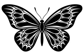 animal, art line, beauty, butterfly, butterfly wings, design, drawing