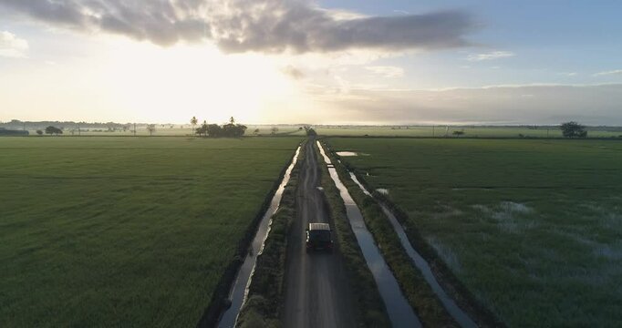 behiculo viajando en carretera, en medio de fincas de arroz, con un amanecer hermoso.