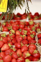 strawberries in the market