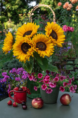 Summer still life with sunflowers in the garden.