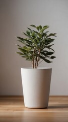 Fototapeta premium empty white wall wooden floor modern pot.