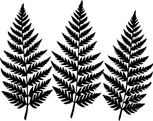 fern leaves silhouettes vector illustration