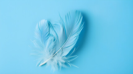 Obraz premium Vibrant blue feather perfectly contrasted against a soft, powdery blue backdrop in a stunning display.
