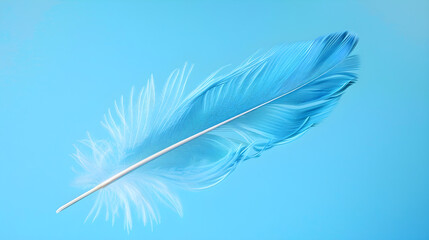 Fototapeta premium Vibrant sky blue feather contrasted against a cool blue background in a modern design style.