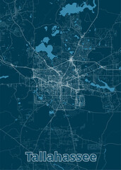 Tallahassee, Florida USA artistic blueprint map poster