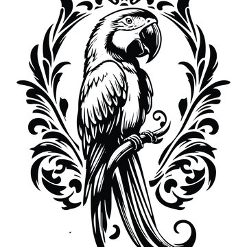 recommend clip art: Macaw bird with victorian flourish decoration, stencil logo, black and white animal illustration
