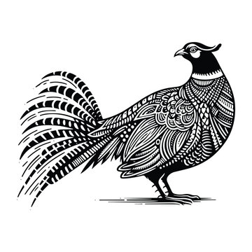 recommend clip art: Pheasant bird in zentangle art, stencil logo, black and white animal illustration