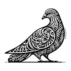 Pigeon bird in zentangle art, stencil logo, black and white animal illustration