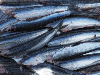 Bandeja de anchoas limpias y sin cabeza