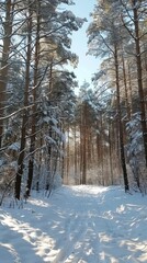 Fototapeta premium winter forest illustration.