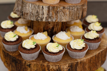 Display of vanilla and chocolate cupcakes