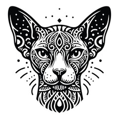 Obraz premium Adobe Illustrator Artwork