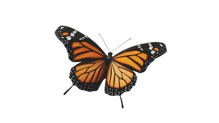 Naklejka premium A butterfly with a yellow body and black wings. The butterfly is resting on a white background. Concept of tranquility and beauty, as the butterfly's delicate wings