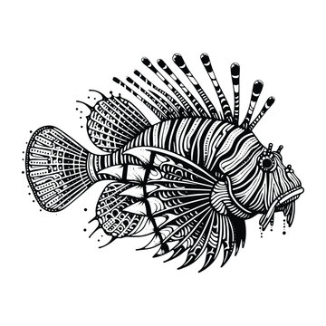 recommend clip art: lion fish in zentangle art, stencil logo, black and white animal illustration