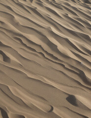 Obraz premium Desert landscape view, hot sands dune dry sandy waves