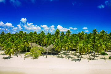 Obraz premium Tropical Caribbean beach, Dominican Republic