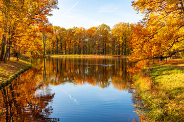 Autumn foliage in Alexander park, Tsarskoe Selo (Pushkin), St. Petersburg, Russia