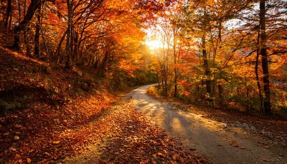 秋の落ち葉が広がる道路