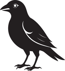 crow on a branch