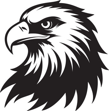 eagle head vector illustration