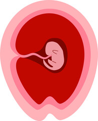 Human embryonic development