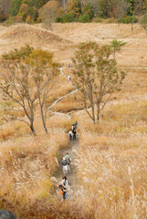 草原一面に広がるススキの穂と散策する人
