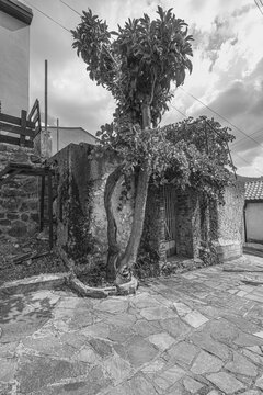 Street and house view of Phini (Foini), a picturesque, natural beauty mountainous village, of natural beauty, in the Troodos Mountains, located near by the town of Platres, Limassol district, Cyprus