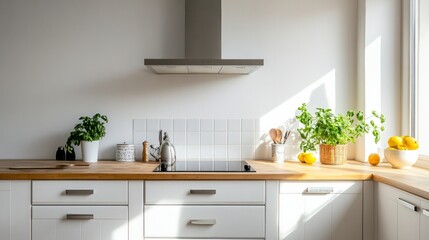 A silver cooker hood sits in a minimalist white kitchen with a wooden countertop and a plant.