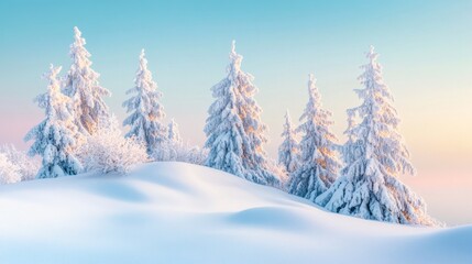 Obraz premium Winter Wonderland: Snowy Landscape