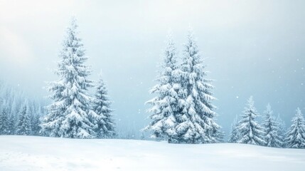 Fototapeta premium Serene Winter Landscape with Snow-Covered Trees