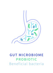 Gut Microbiome and Probiotics. Beneficial Bacteria for Digestive Health