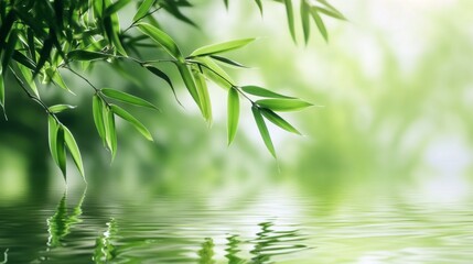 Tranquil Bamboo Reflections
