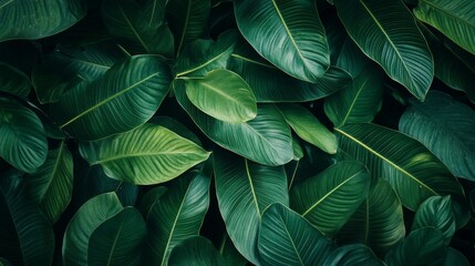 Lush Green Leaves Background