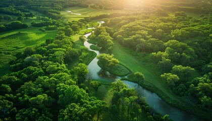 Lush green landscapes with renewable energy sources, illustrating the advancement of environmental