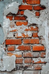 Exposed brick wall with peeling plaster in urban setting during daylight