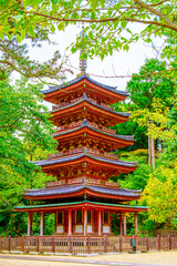 京都、海住山寺の五重塔