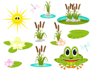 Vector illustration. Funny cartoon pond set collection. Smiling frog, reed, sun, acquatic plants, blooming lotus flower, dragonfly isolated icon on white background.