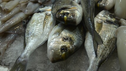 Close-up of lush abundance of fresh clear eyed gilt-head bream or dorada (Sparus aurata) with its characteristic golden stripe between the eyes on ice at Mercado de Abastos market, Jerez, Spain