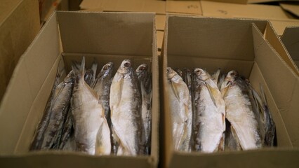 Dried fish stockfish packed in cardboard boxes at a fish factory