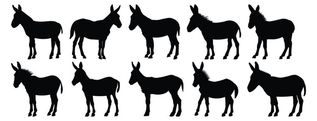 Donkey silhouettes set, animal pack of vector silhouette design, isolated background