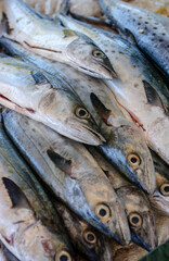 Obraz premium Fish for sale at an open-air market.