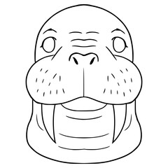walrus face illustration hand drawn outline vector