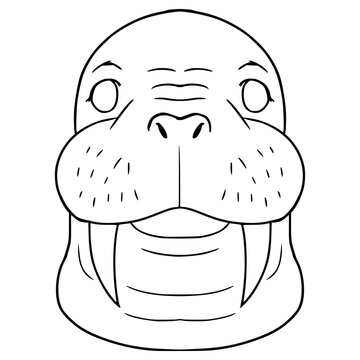 recommend clip art: walrus face illustration hand drawn outline vector